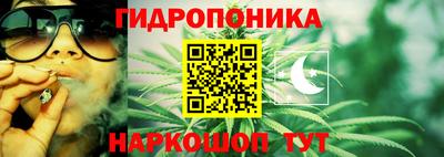 Альфа ПВП Комсомольск-на-Амуре